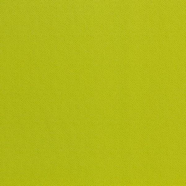 Baumwolle Dotty Kiwi by Swafing
